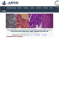 Mobile Screenshot of aapud.com